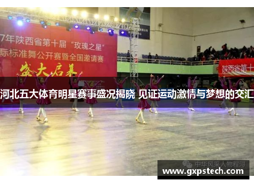 河北五大体育明星赛事盛况揭晓 见证运动激情与梦想的交汇